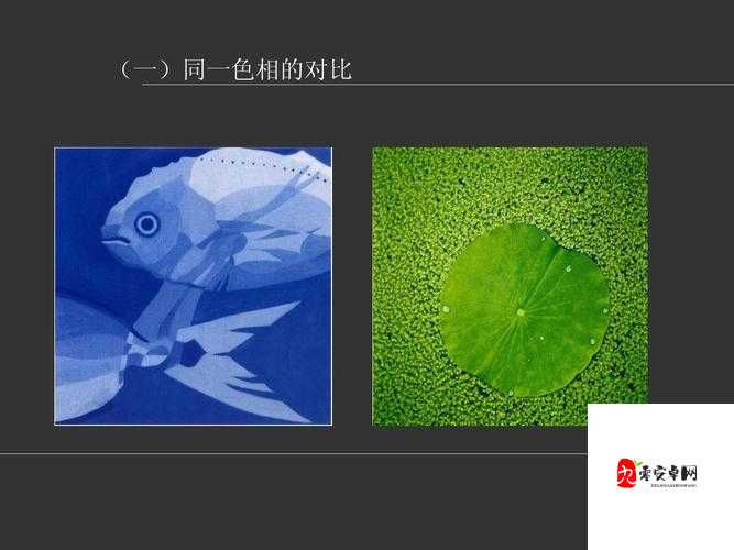 亚洲色图 P：探寻亚洲文化中的色彩与图案