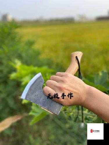 想要做一名合格的木工所需要的斧头应该如何获得，资源管理的重要性与实践