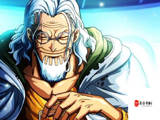 航海王燃烧意志，青年雷利技能全揭秘