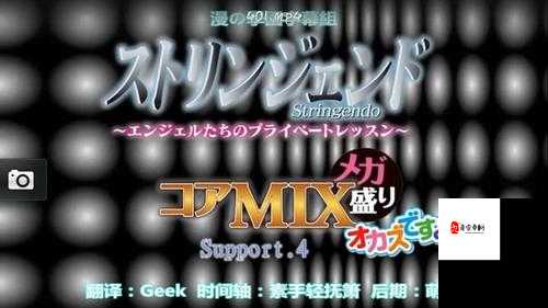 雅婷 4 攻略-详细解读与玩法技巧全知道