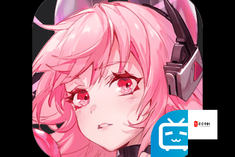 空匣人型，如何正确使用金刚程式芯片与适配角色使用攻略