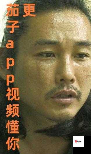 茄子视频app下载汅api免费在线看版：存在侵权及安全风险，请勿使用