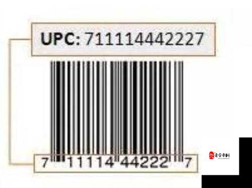 嫩叶草 M 码和欧洲码的区别：详细对比与分析