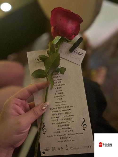 mc166 七夕：爱与浪漫的盛宴