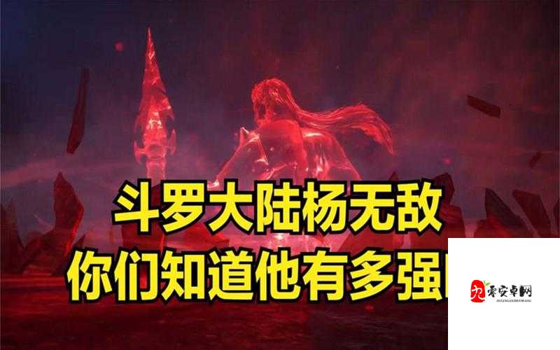 斗罗大陆魂师对决，杨无敌技能全解析与角色深度剖析
