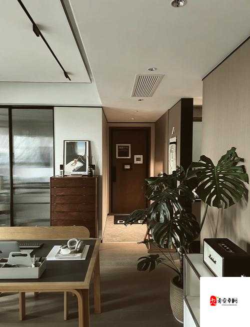 双龙入户设计带来哪些独特感受：对家居体验的影响与魅力展现