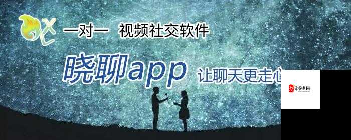 一对一对一视频：开启专属互动交流的全新旅程