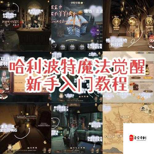 哈利波特魔法觉醒攒资源玩法，揭秘资源积累的秘密