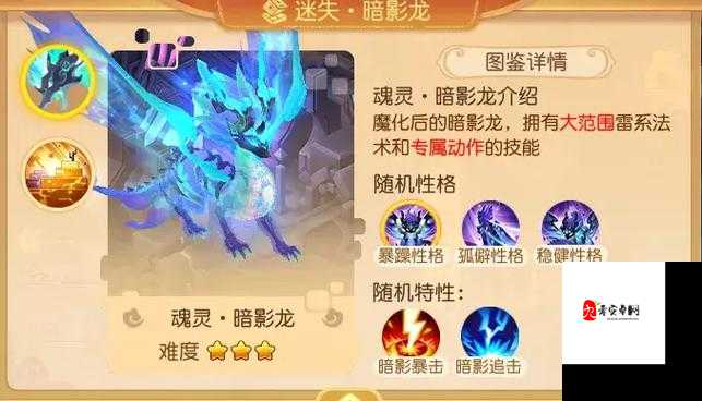 梦幻西游手游暗影龙挑战全攻略，解锁通关秘籍