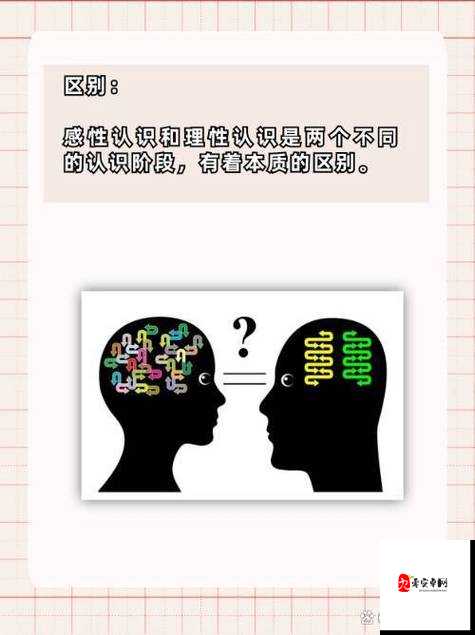 夫妻两人感性和理性关系：如何在生活中达到平衡与和谐