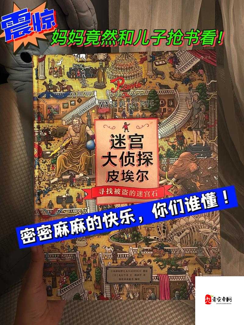 迷宫大侦探，解锁烧脑乐趣的实用攻略全揭秘