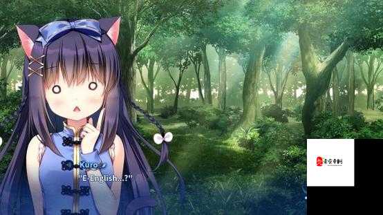 无人岛日记，一场浪漫与生存交织的冒险之旅