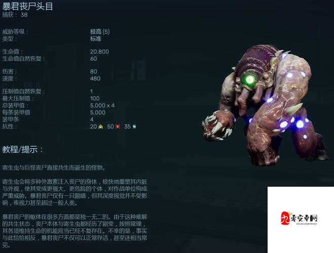 红至日2幸存者，狙击手玩法深度剖析