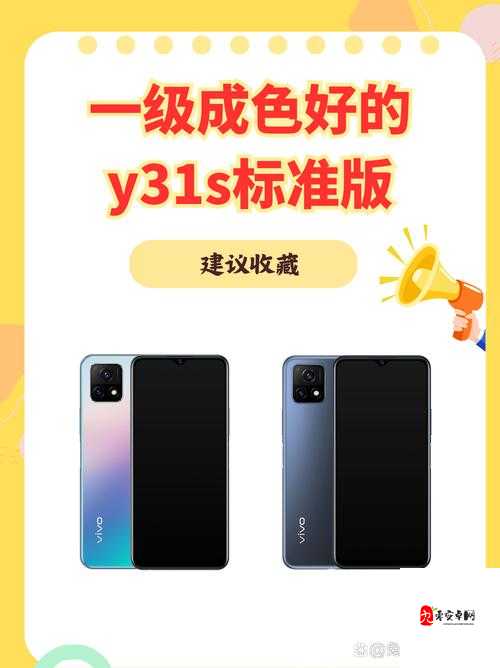 一级成色好的 y31s 标准版评测-：深度解析