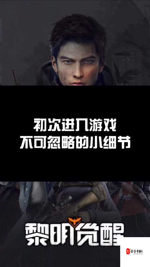 解锁黎明觉醒的同居系统，打造你的专属乐园