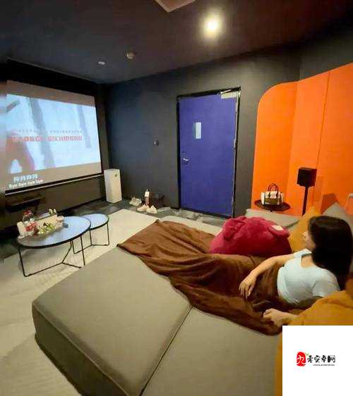 成都私人小影院品牌加盟海贼王：开启独特的娱乐体验之旅