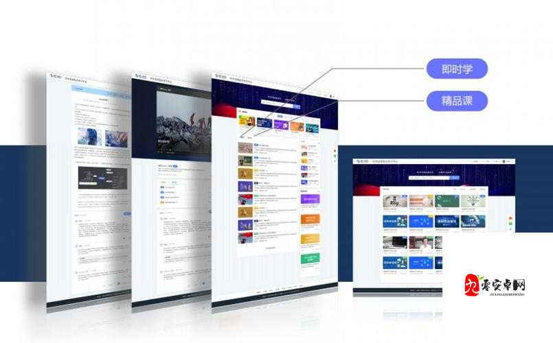 太阳港游戏整体玩法及内容特色详细介绍，资源管理、高效利用与价值最大化
