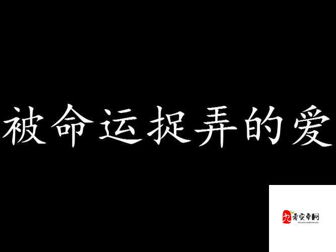 t 大校花的悲和泪最火的一句：为何命运如此捉弄人