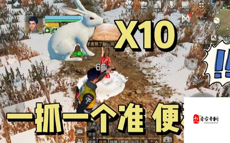 明日之后手游中要怎么抓兔子，资源管理的高效策略