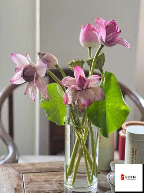 女性半夜莲花开放治疗方法之独特探索与实践