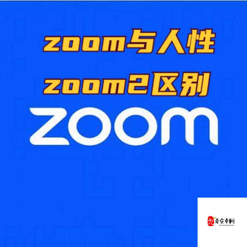 另一类ZOOM 与人性 ZOOM：关于它们的深入探讨与全面分析