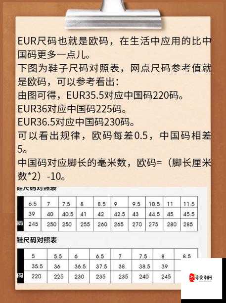 国产尺码 欧洲尺码 2024：探寻两者差异与适用场景分析