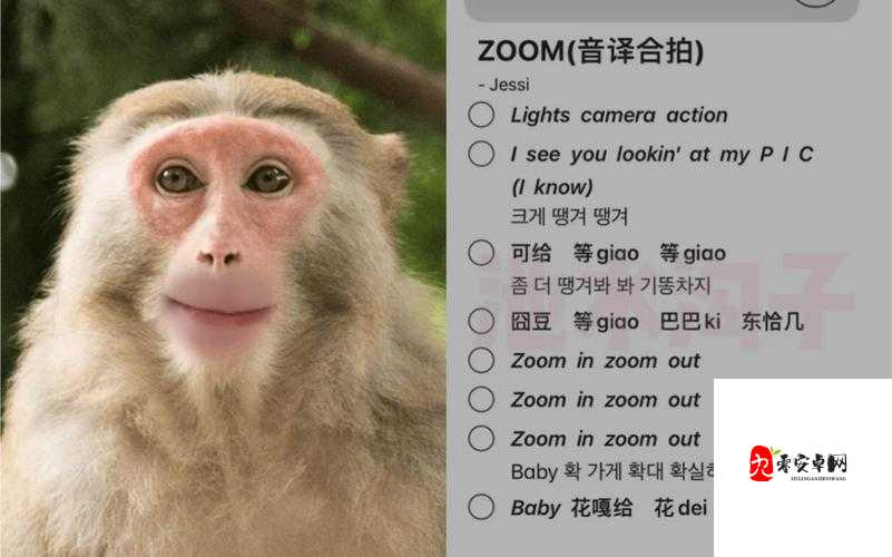 美国 ZOOM 动物 ZOOM：一场奇妙的动物探索之旅
