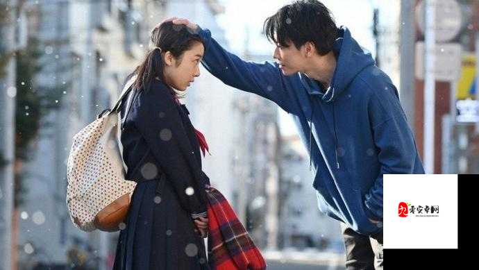 4399 日本电视剧免费大全下载攻略：实用指南与技巧分享