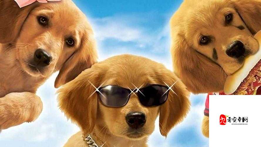 幼儿 HIPHOP 仙踪林：充满童趣与活力的嘻哈舞蹈乐园