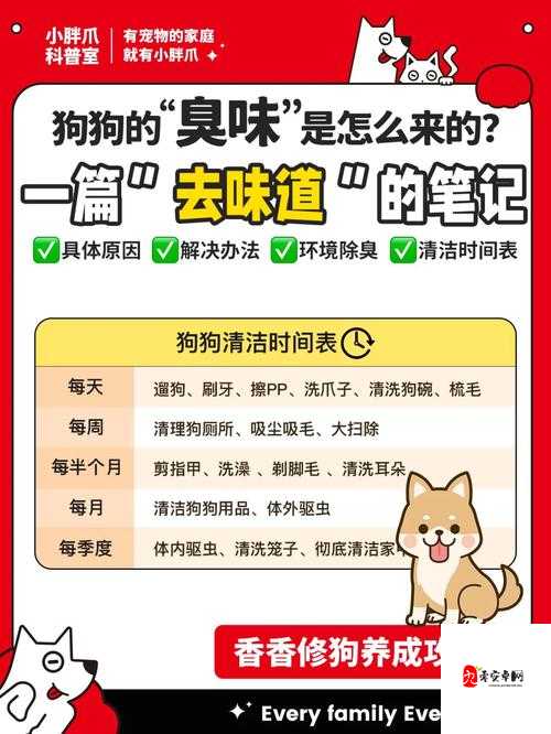狗狗的东西又硬又烫又臭怎么办：这到底是怎么回事如何解决