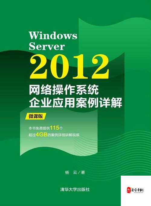 日本 Windows Server ：探索其在企业级应用中的卓越性能