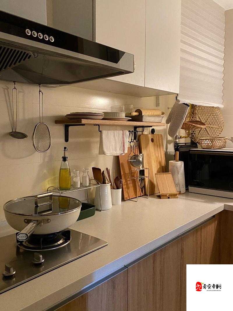 从厨房一路干到客厅好吗的新发现：令人惊叹的家居清洁之旅