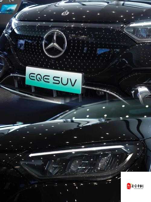 一级成色好的 y31s 标准版评测：全面解析其卓越性能与特色