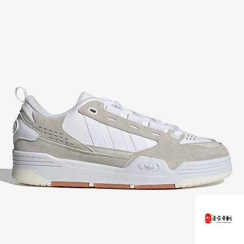 三叶草 gy3876 的独特魅力与精彩呈现