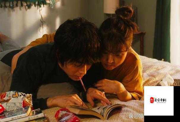 适合二人看的小电影南瓜：浪漫温馨的二人专属视觉之旅