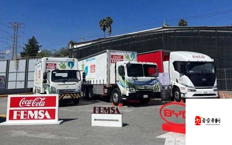 仙踪林 COMPANY LIMITED 多重路径提供？网友热议探讨