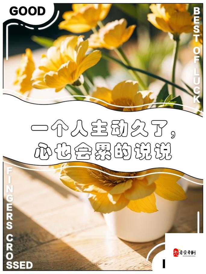 午夜的坚持：在黑暗中守护光明