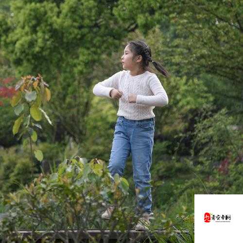 含苞待放周延镇莹莹谜：探寻其背后的故事与意义