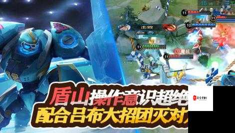 王者荣耀盾山玩法全攻略，资源管理、技巧提升与避免浪费