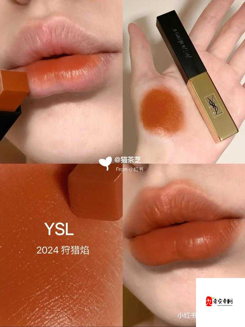 ysl 蜜桃棕调色：展现独特魅力与时尚风格的绝佳选择
