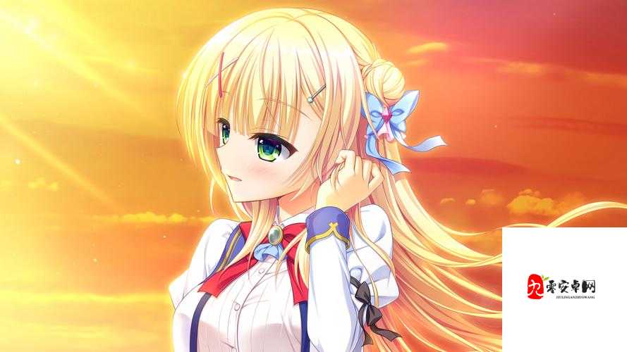 金辉恋曲四重奏，一场金色时光的浪漫之旅