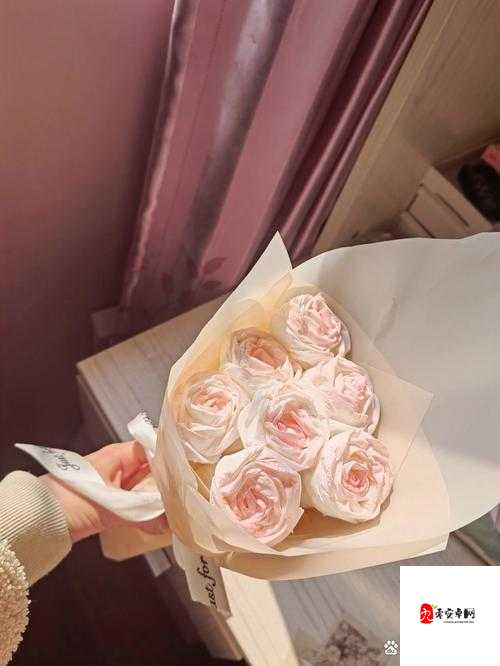 已满 18 岁的你，是否已经准备好卫生纸？转入正题之前，先做好准备吧