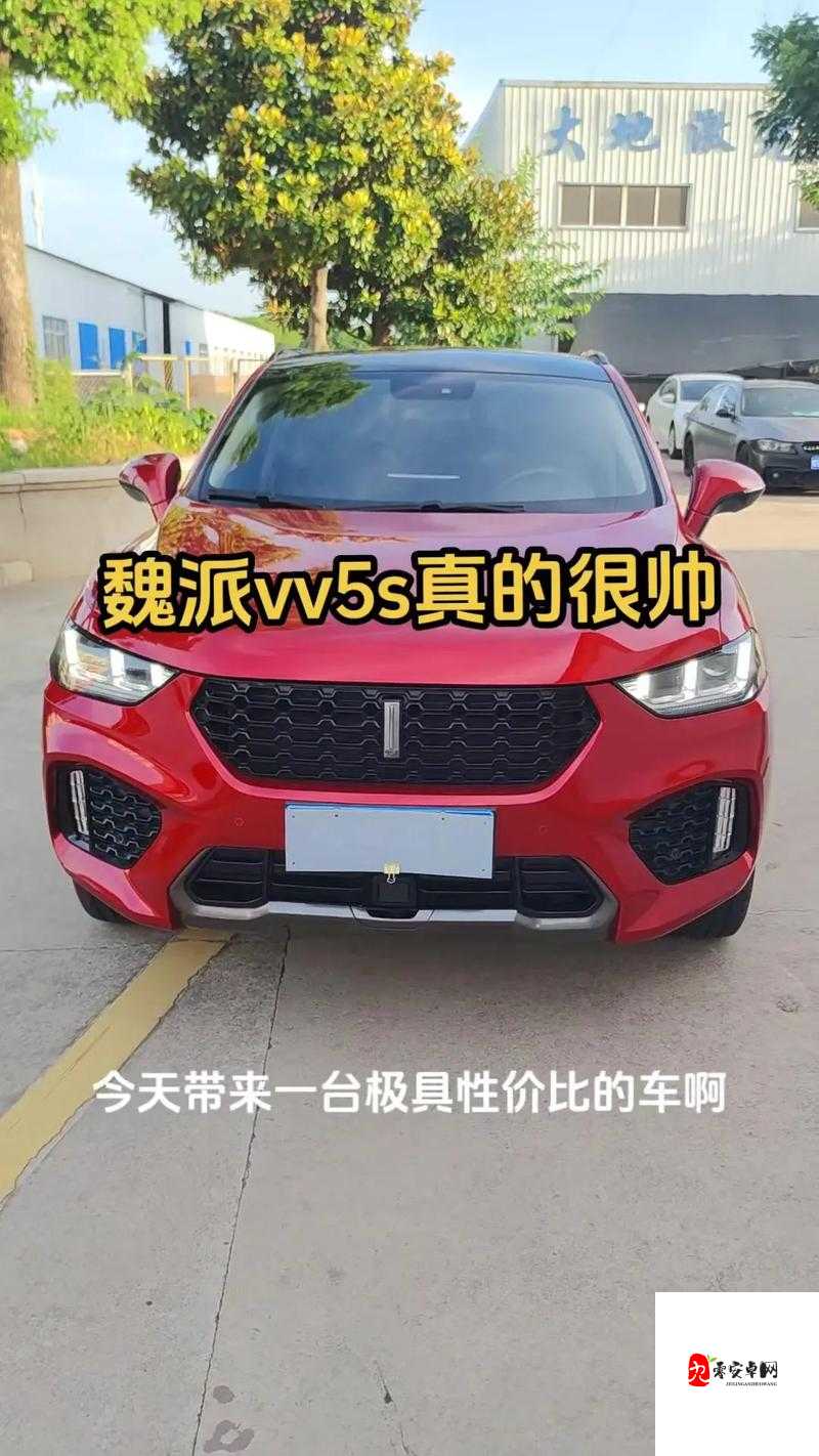 WEY VV5 国产的 SUV 视频：展现卓越性能与豪华品质之旅