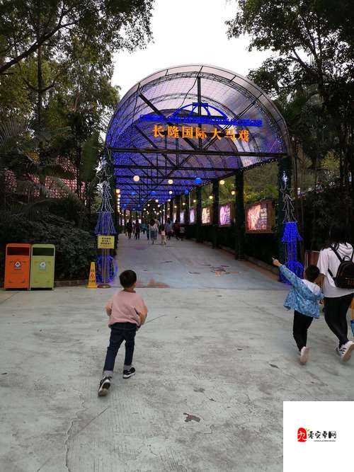 菠萝蜜观看路线仙踪林：一场奇幻的视觉之旅