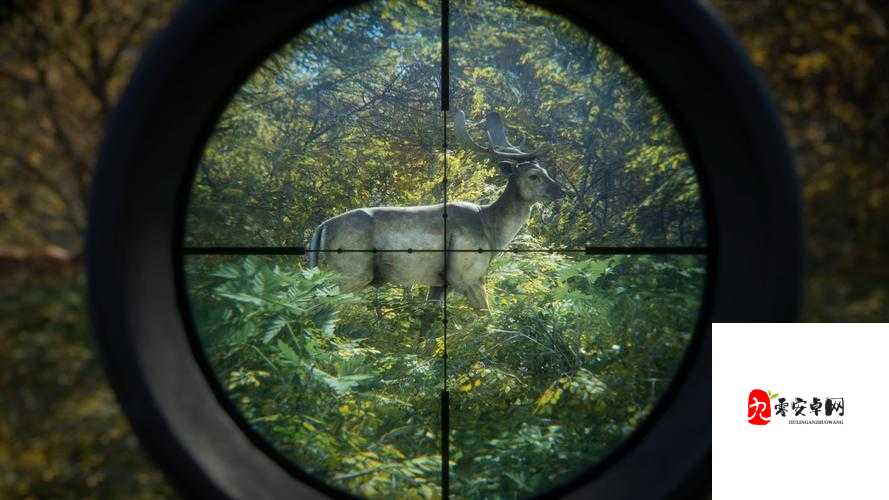 往日不再鹿肉刷法以及打猎技巧详细攻略介绍