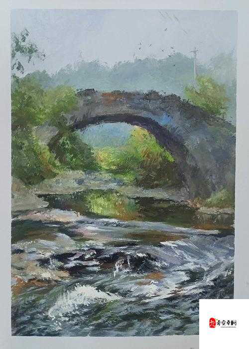 Freezeframe 丰满老师作品世界的绚丽多彩：探索艺术的无限魅力