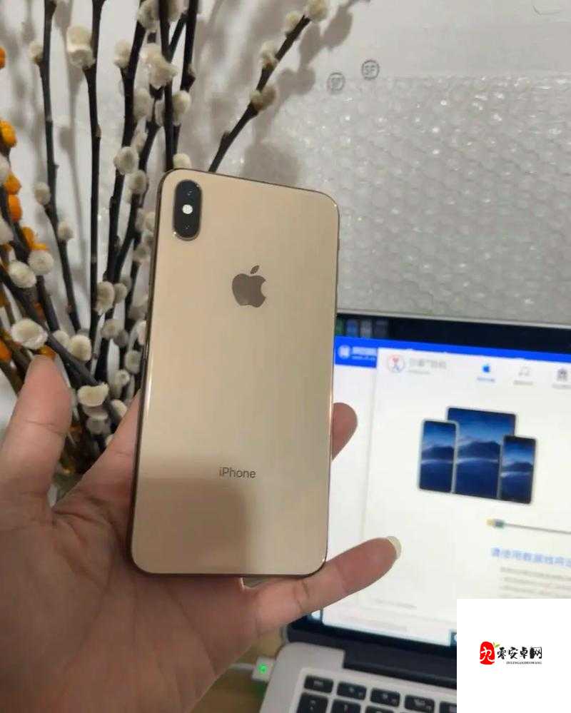 IPHONE XS MAX 日本：重新定义奢华与科技的巅峰之作