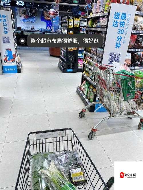 跳d放在里面逛超市的：这样奇特行为背后的原因探讨