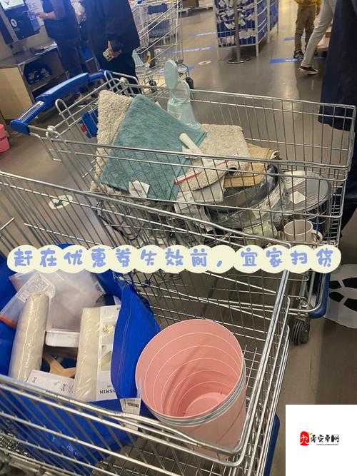 小扫货：扫货达人的秘密武器