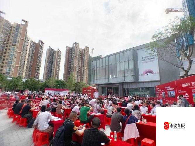 双龙入户：豪华与惊喜的交织，令人叹为观止